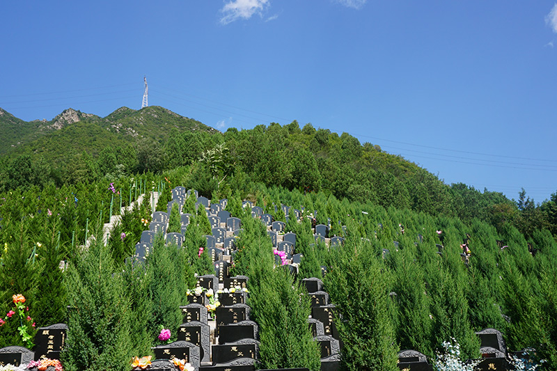 太子峪陵园还能买墓吗（墓地环境怎么样呢）